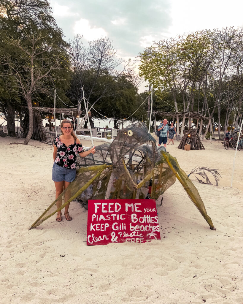 trash turtle on gili beach